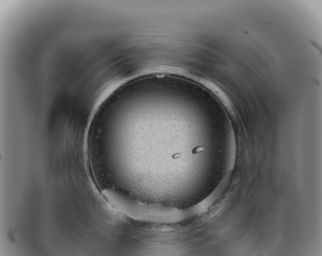 X0000096481199200801311549