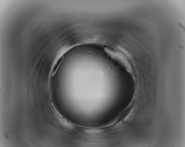 X0000096481200200801311549