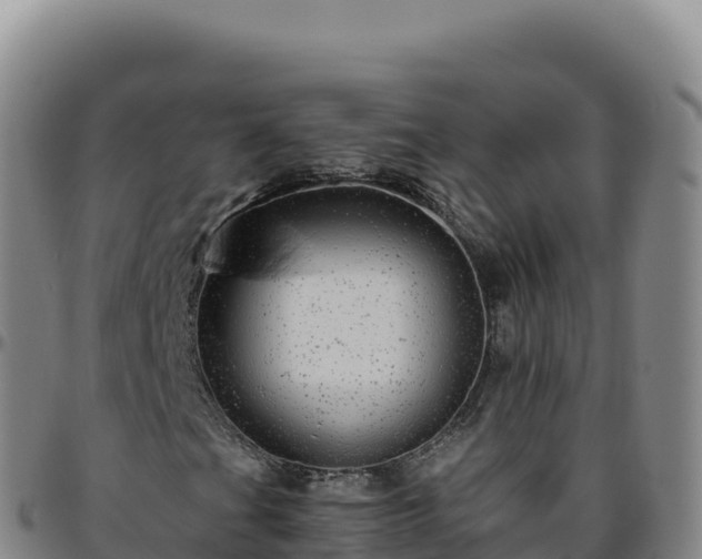 X0000096481201200801311549