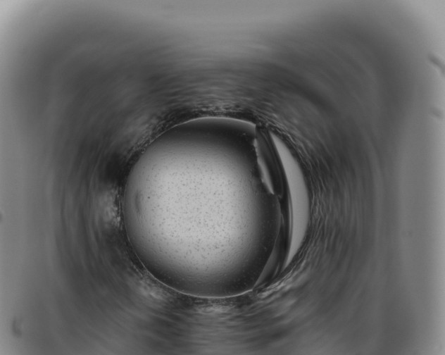 X0000096481202200801311549