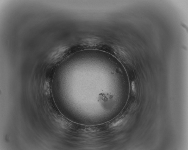 X0000096481203200801311549