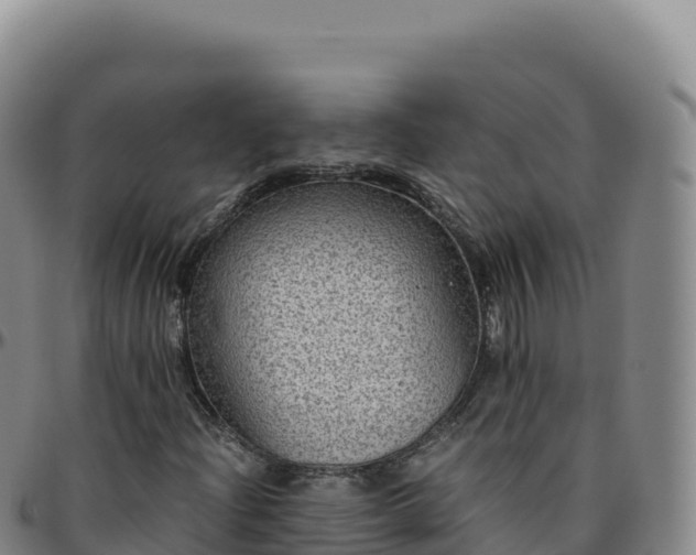 X0000096481204200801311549