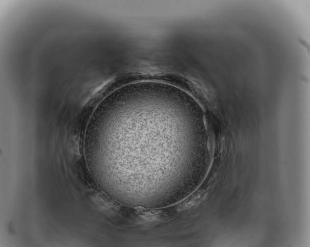 X0000096481205200801311549