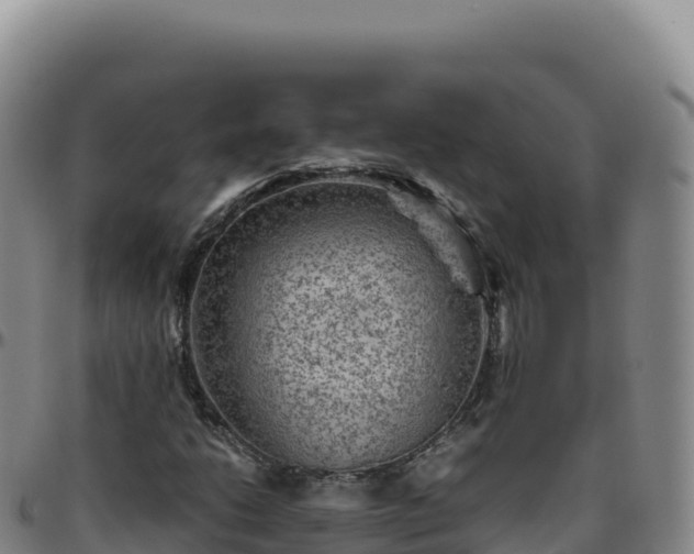 X0000096481206200801311549