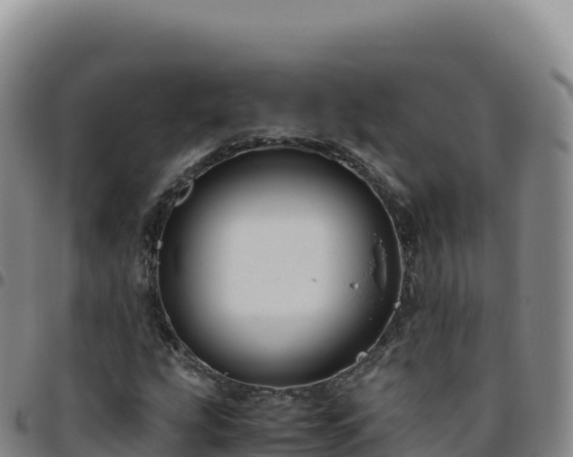 X0000096481207200801311549