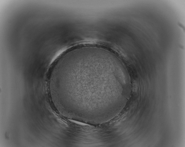 X0000096481208200801311549