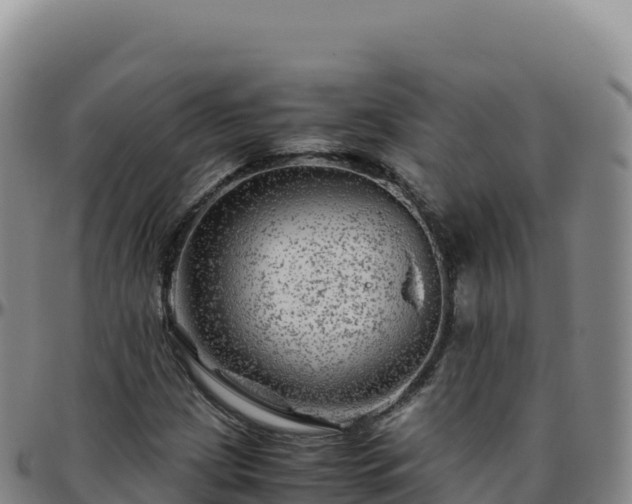 X0000096481209200801311549