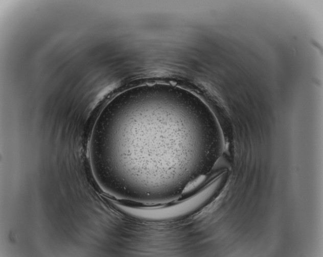 X0000096481210200801311549