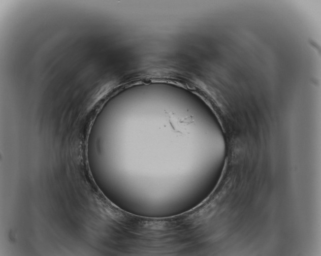 X0000096481211200801311549