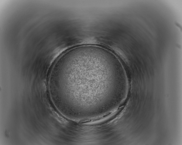 X0000096481212200801311549