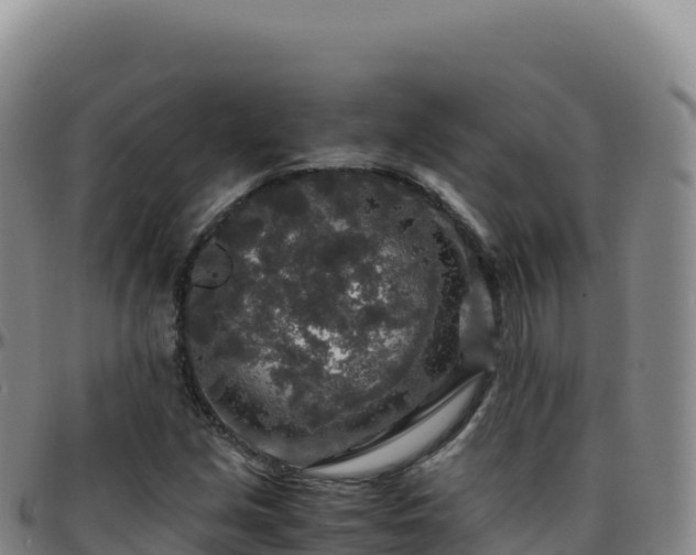 X0000096481213200801311549