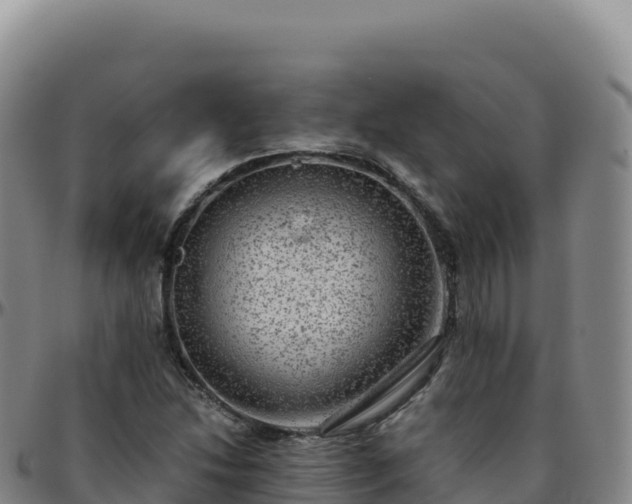 X0000096481214200801311549