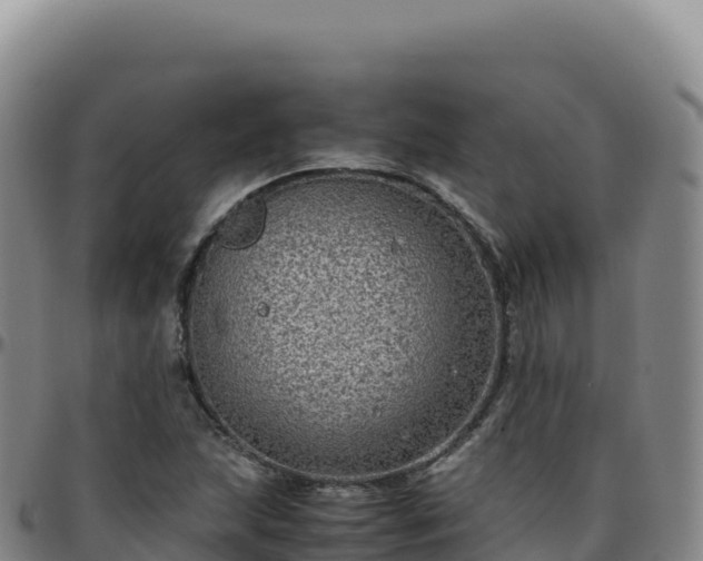 X0000096481215200801311549