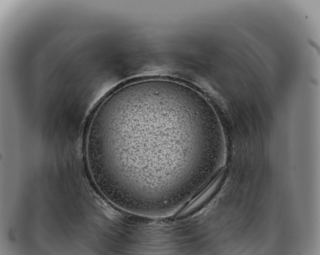 X0000096481216200801311549