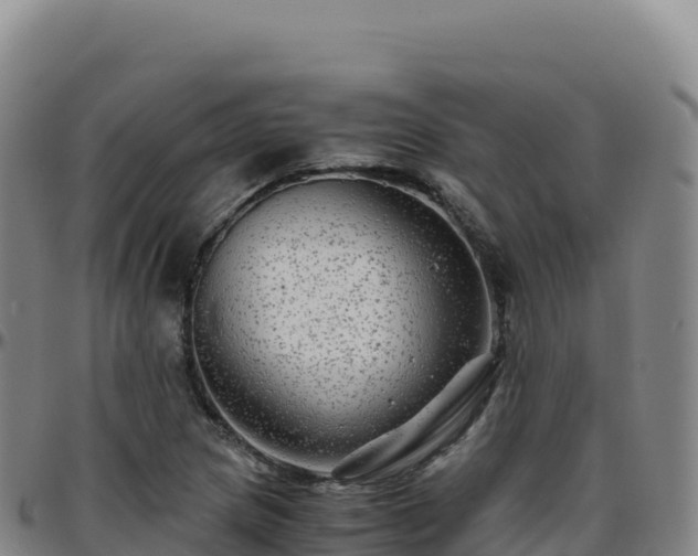 X0000096481217200801311549