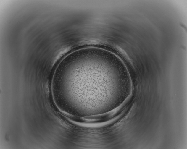 X0000096481218200801311549