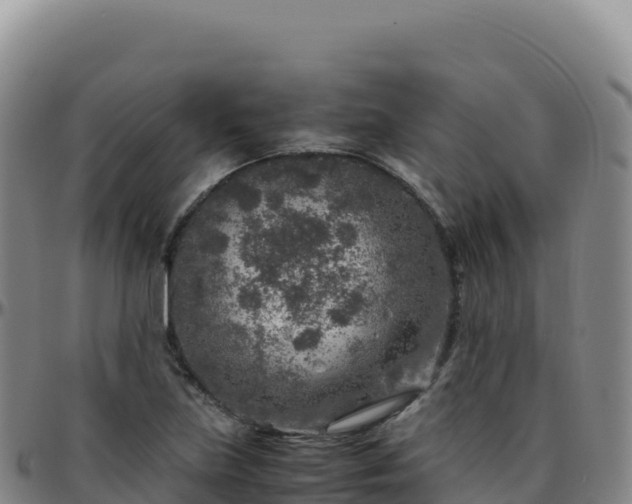 X0000096481219200801311549