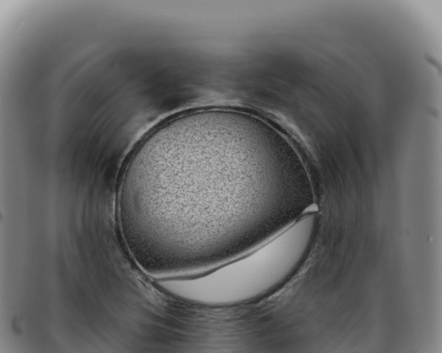 X0000096481220200801311549