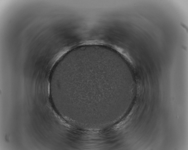 X0000096481221200801311549