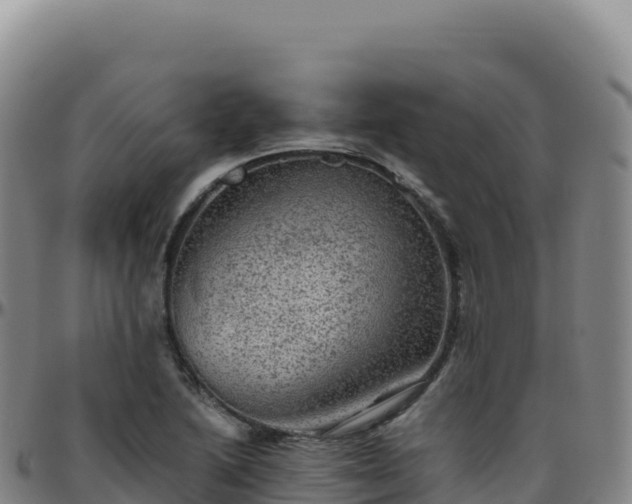 X0000096481222200801311549