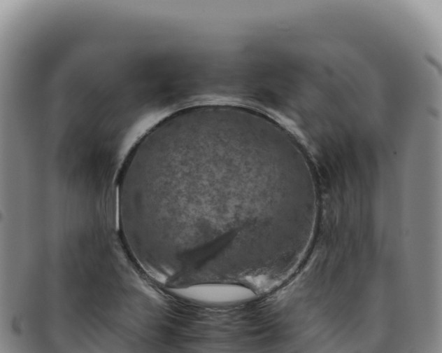 X0000096481223200801311549