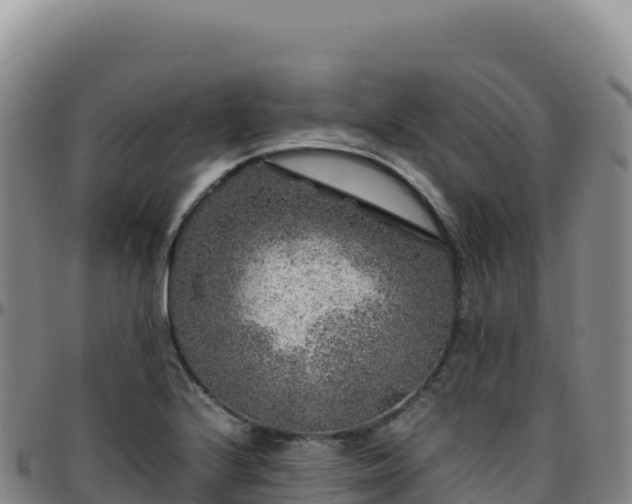 X0000096481224200801311549