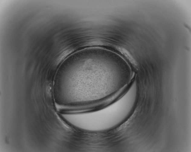 X0000096481225200801311549