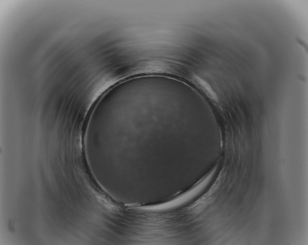 X0000096481226200801311549