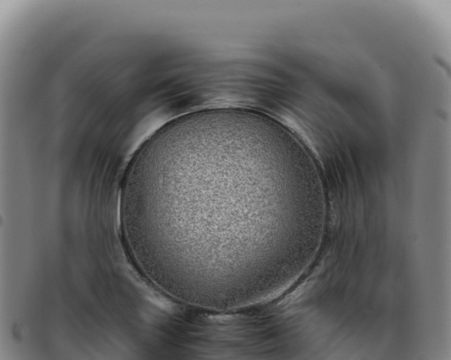 X0000096481227200801311549