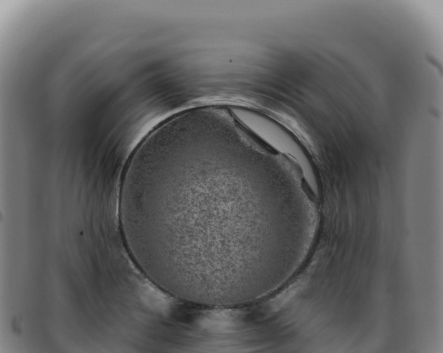 X0000096481228200801311549