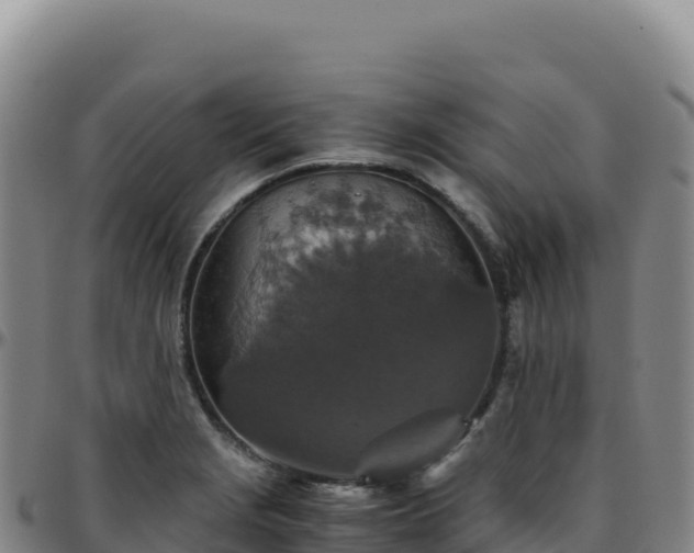 X0000096481229200801311549