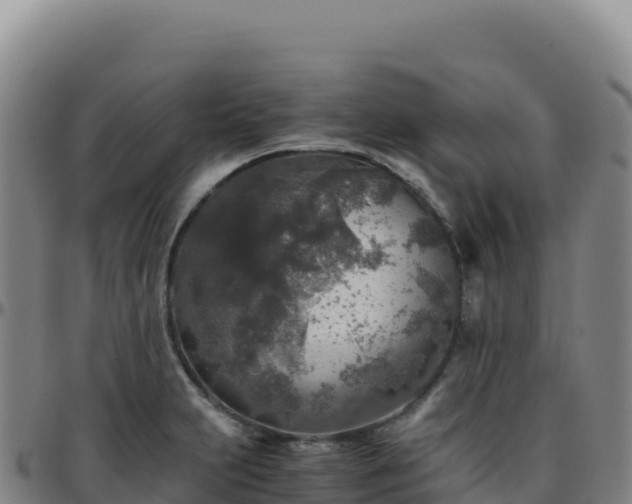 X0000096481231200801311549