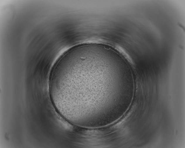 X0000096481232200801311549