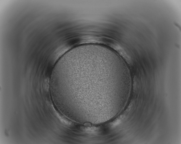 X0000096481233200801311549