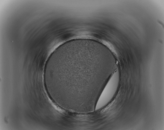 X0000096481237200801311549