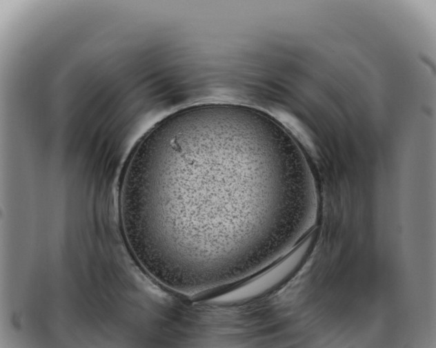 X0000096481238200801311549