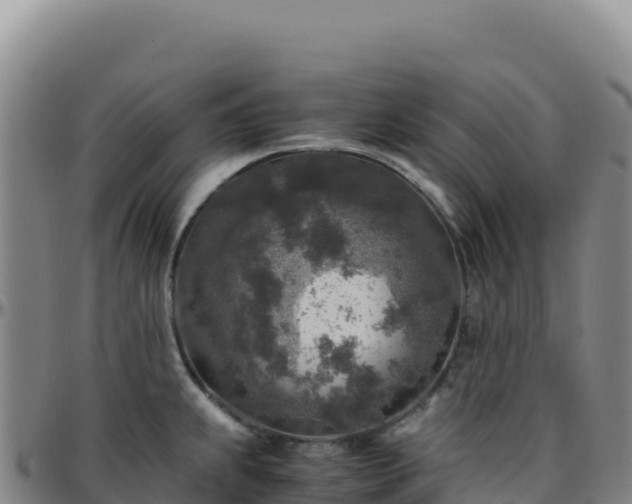 X0000096481239200801311549