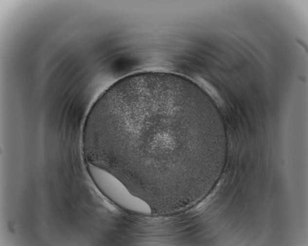 X0000096481240200801311549