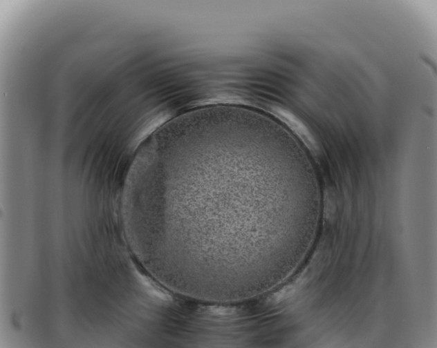 X0000096481241200801311549