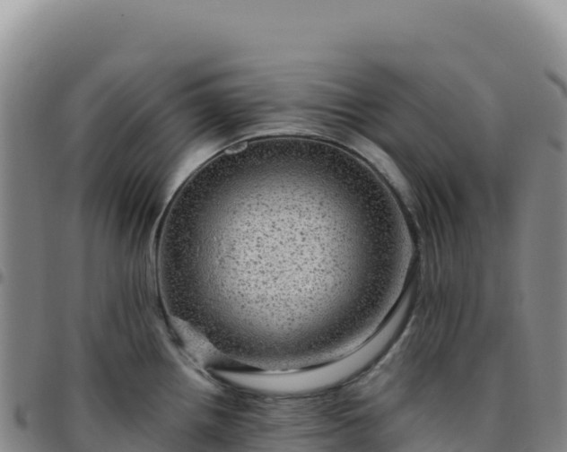 X0000096481242200801311549