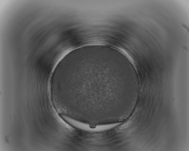 X0000096481243200801311549