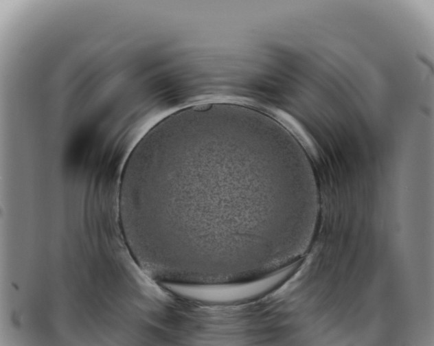 X0000096481244200801311549