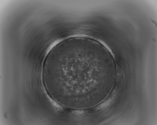 X0000096481245200801311549