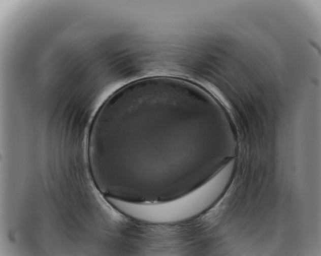 X0000096481246200801311549