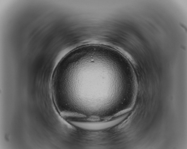 X0000096481247200801311549