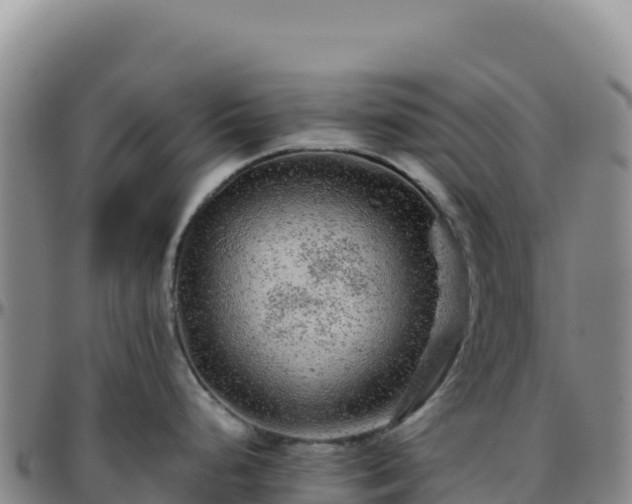 X0000096481248200801311549