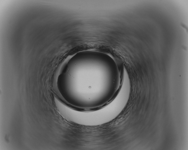 X0000096481249200801311549