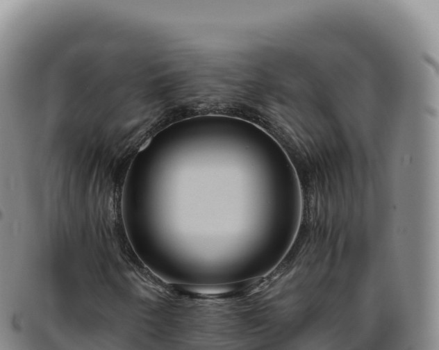 X0000096481250200801311549