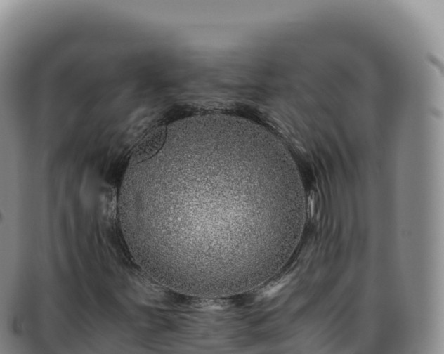 X0000096481251200801311549