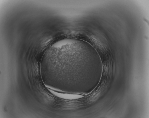 X0000096481252200801311549